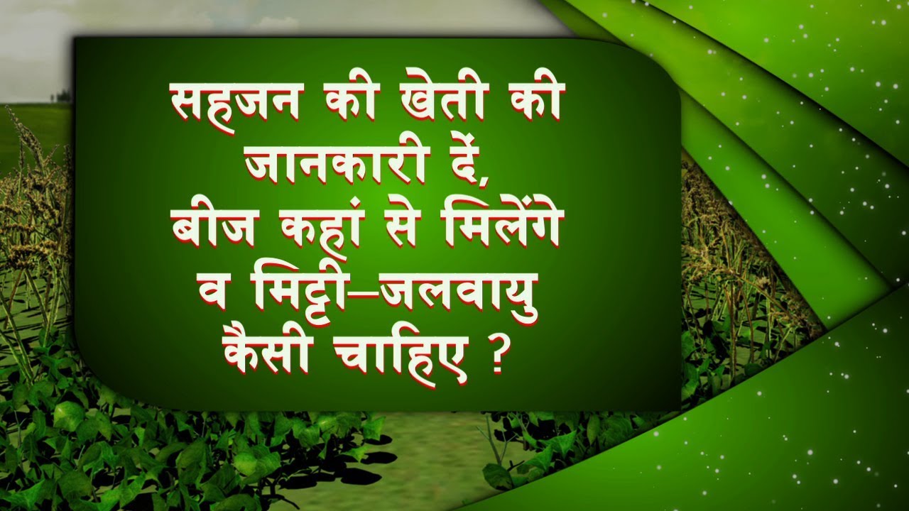 सहजन की खेती की पूरी जानकारी | Vivekanand Singh from MadhyaPradesh