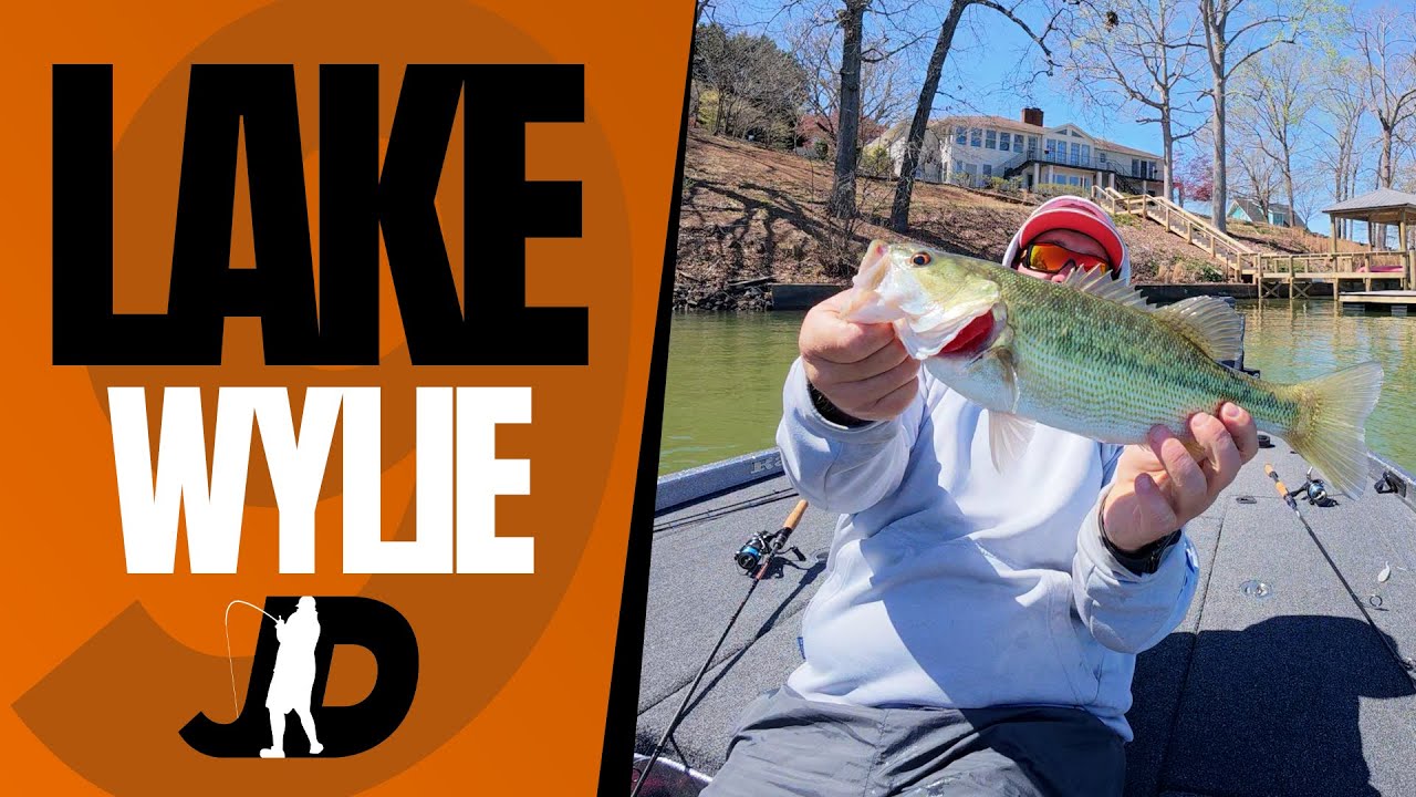 I like this place! - Lake Wylie Bass Fishing