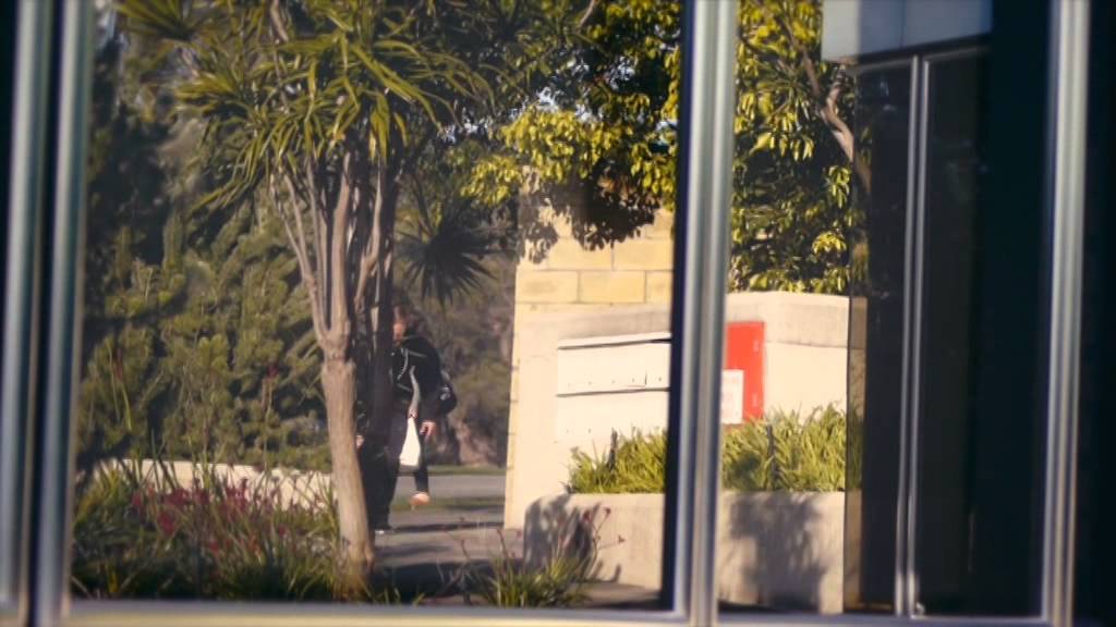 Aaron Winter- Studium