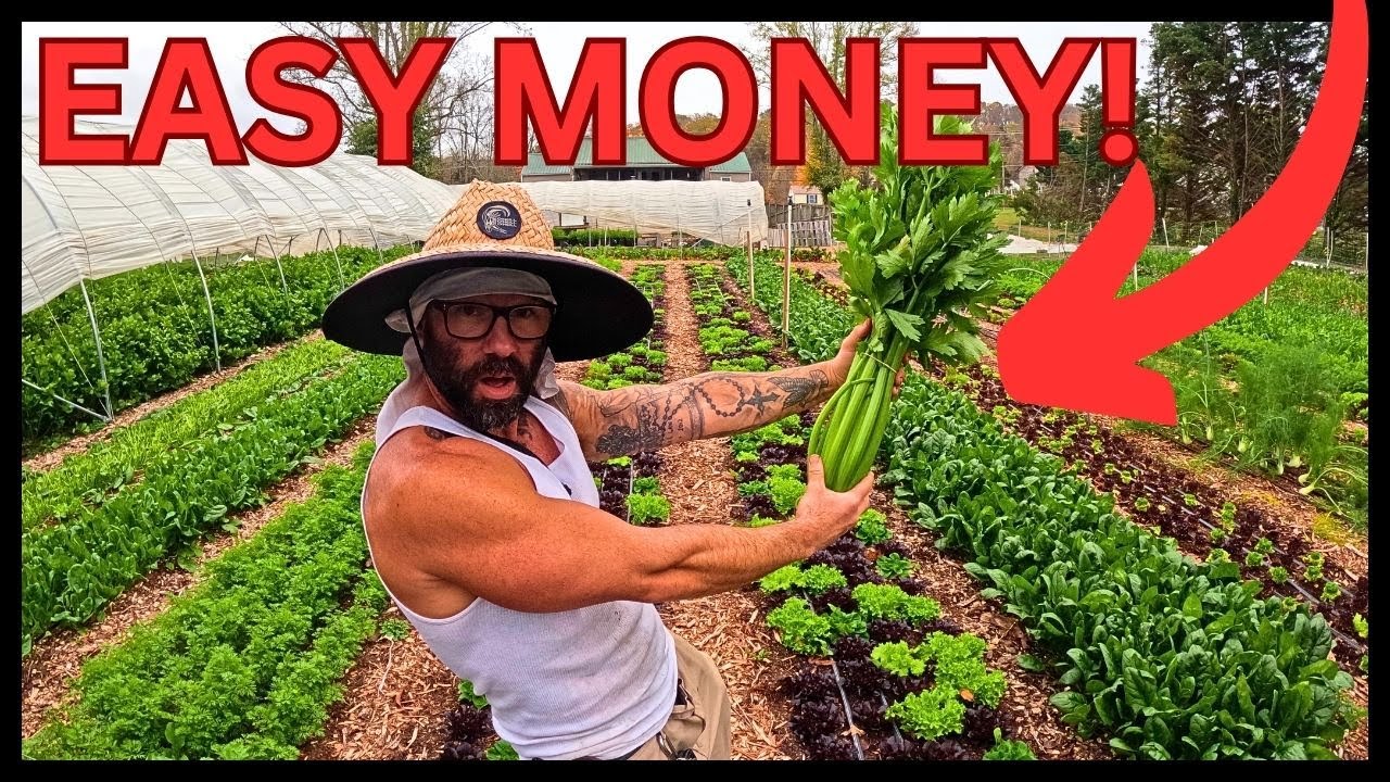 MY BACKYARD FARM PAYS MY BILLS! (1/4 ACRE FALL GARDEN TOUR)