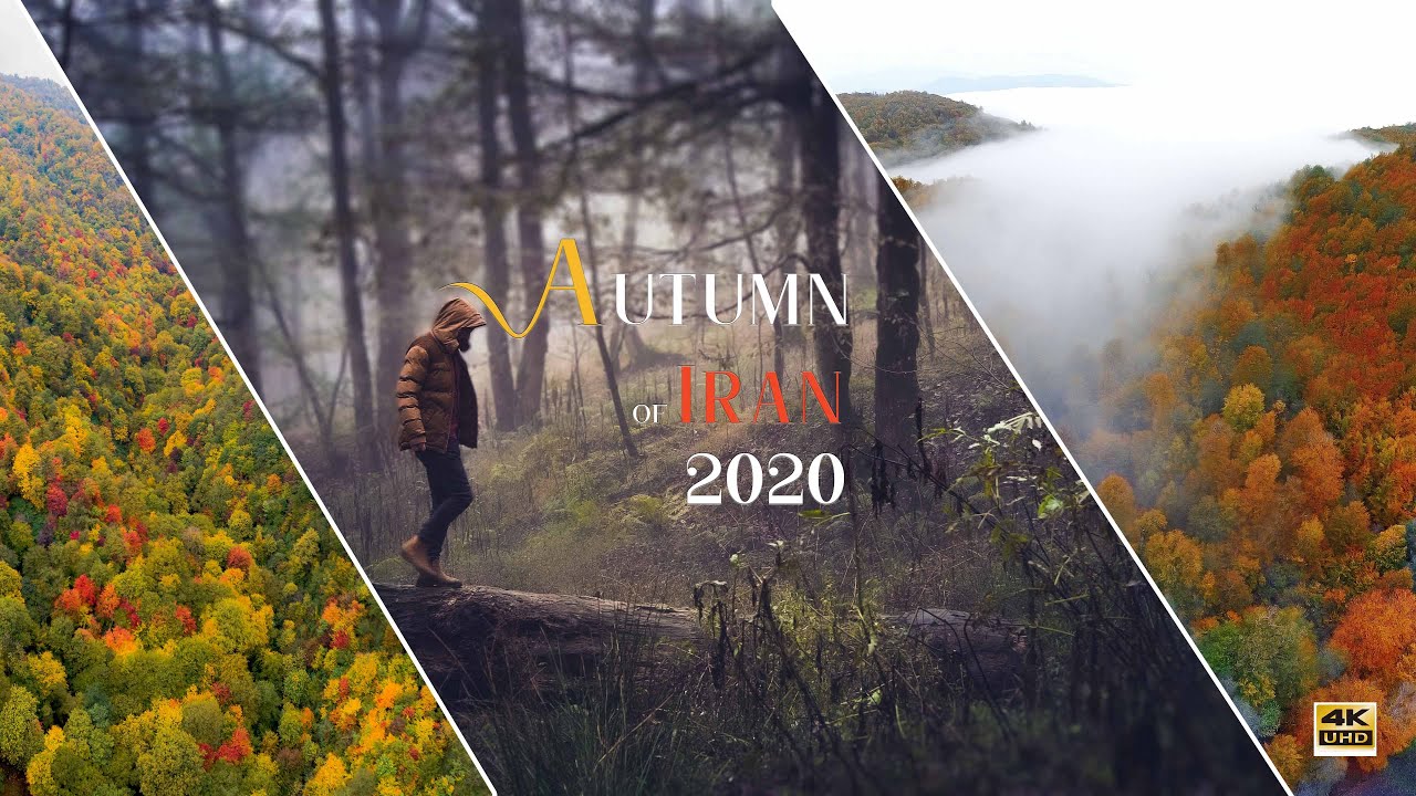 Autumn of Hyrcanian forests of Iran in 4K Cinematic