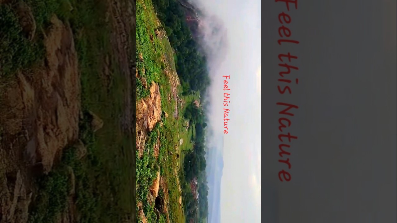 A little fog, a lot of magic.🍃&hearts;️ #shorts #yshorts #nature #youtubeshorts #love #travel