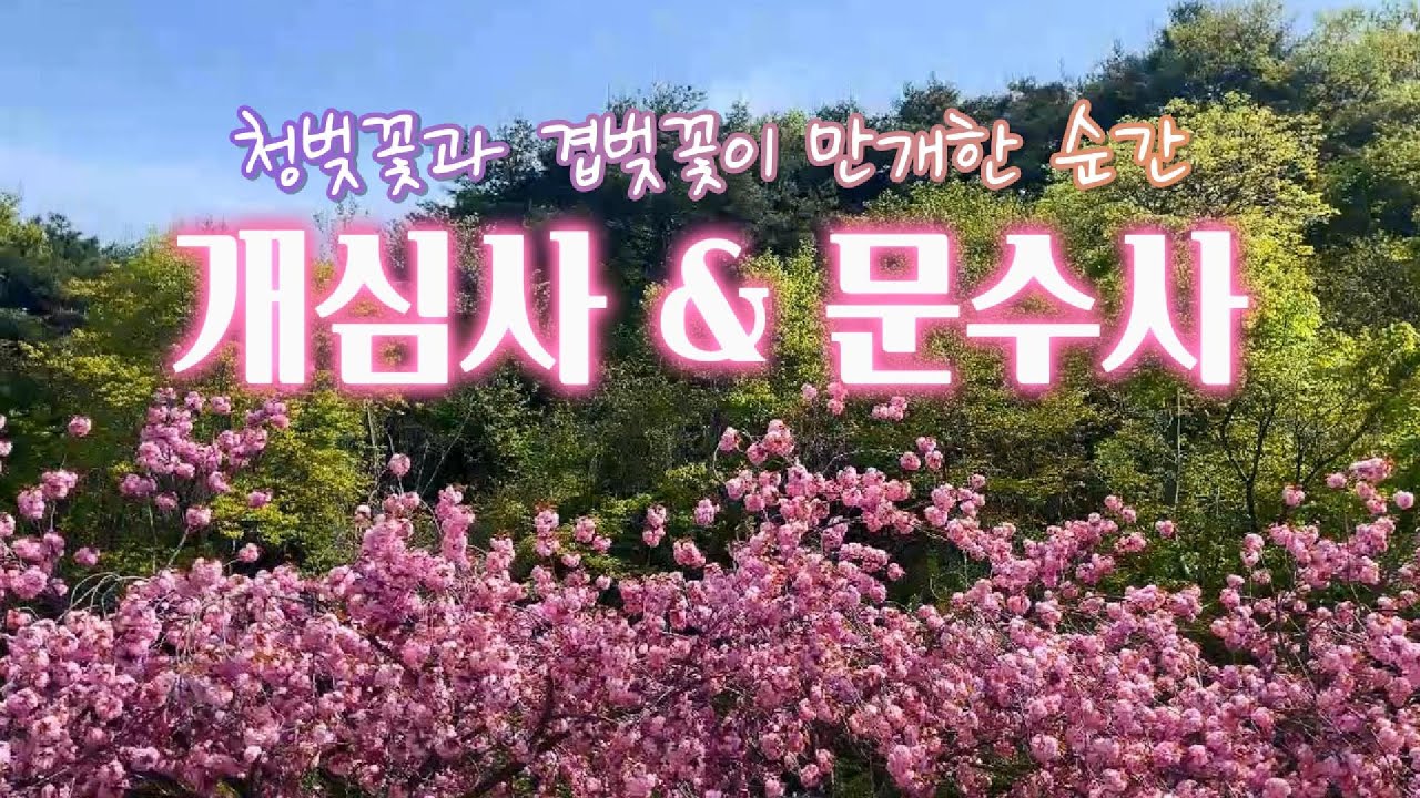 서산 상왕산 개심사 와 문수사, 청벚꽃과 겹벚꽃으로 유명한 서산여행 1번지