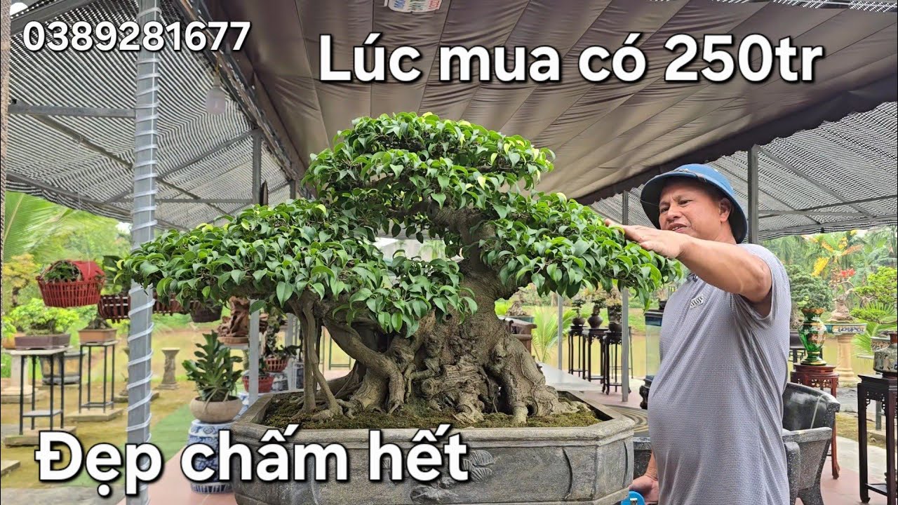 Cây nhỏ mà có võ !. Tầm này đang hót nhiều người muốn sở hữu lắm 