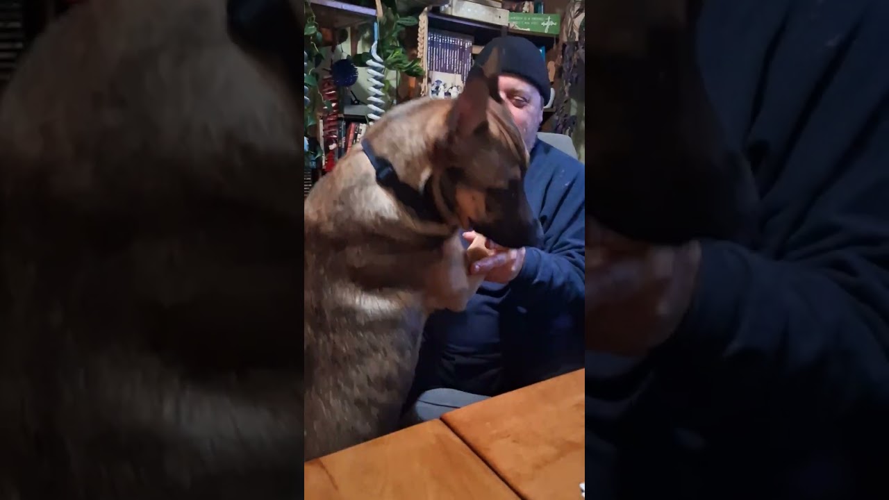 Ice and popcorn 