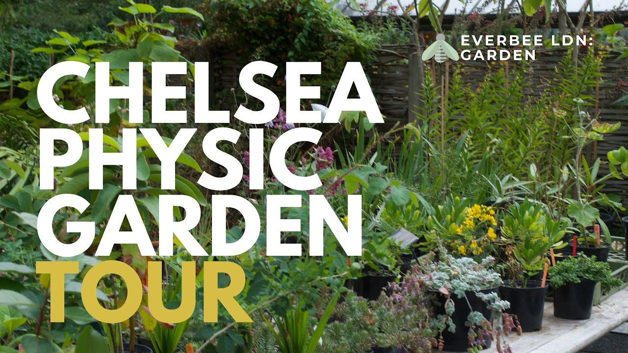 Chelsea Physic Garden Tour | EVERBEE - Ldn: GARDEN