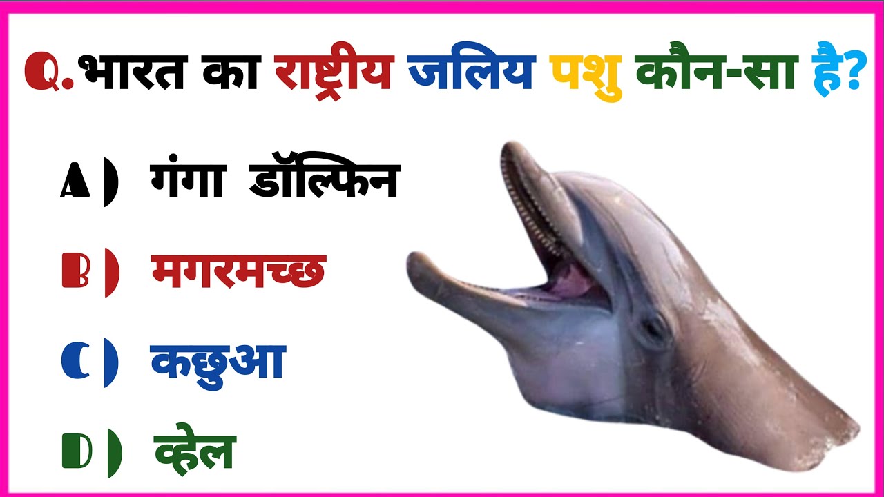 National Aquatic Animal of India is the Gangetic Dolphin