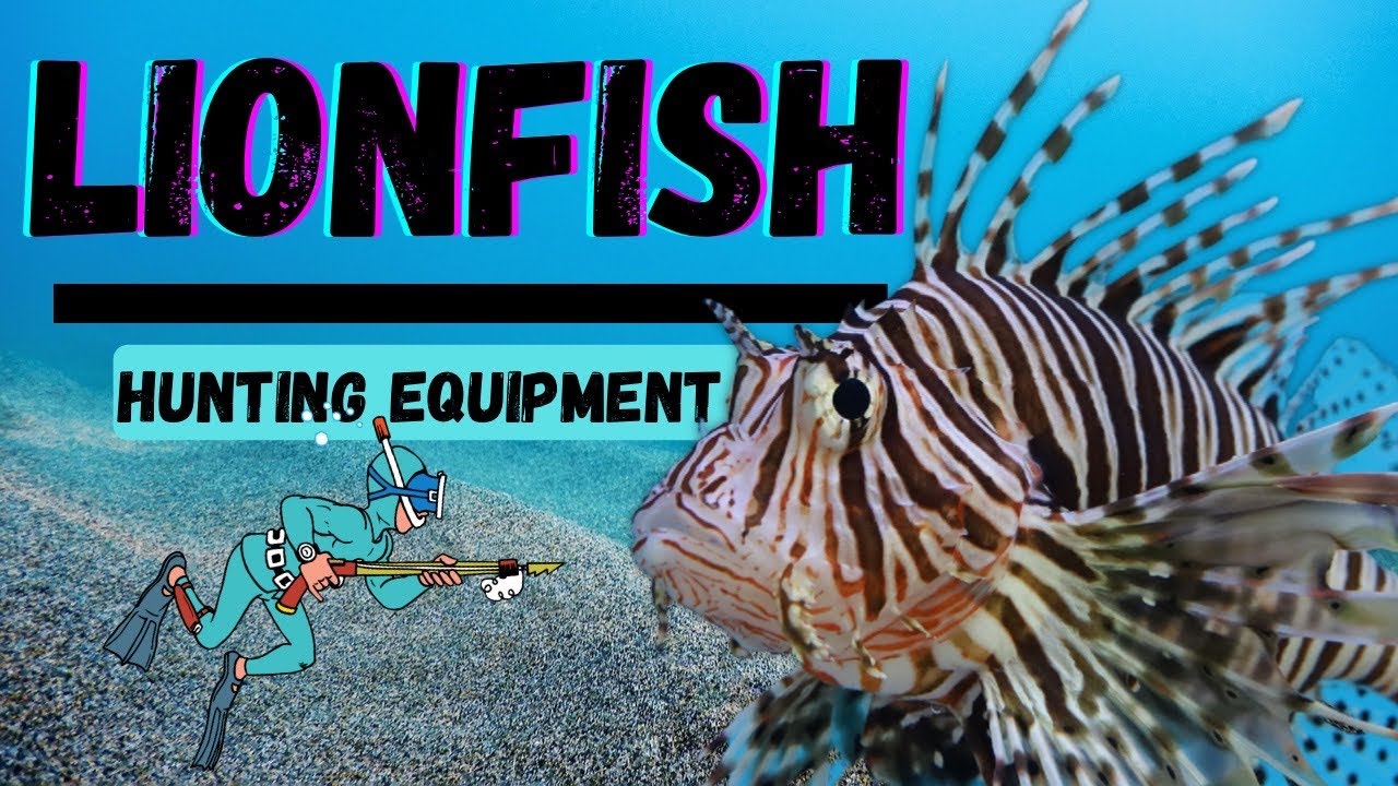 Hunting Lionfish 101 | Equipment