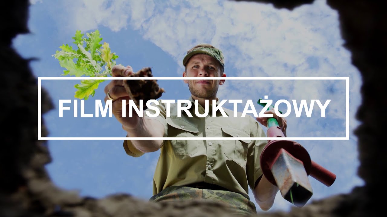Warunki techniczne na pozostałości drzewne