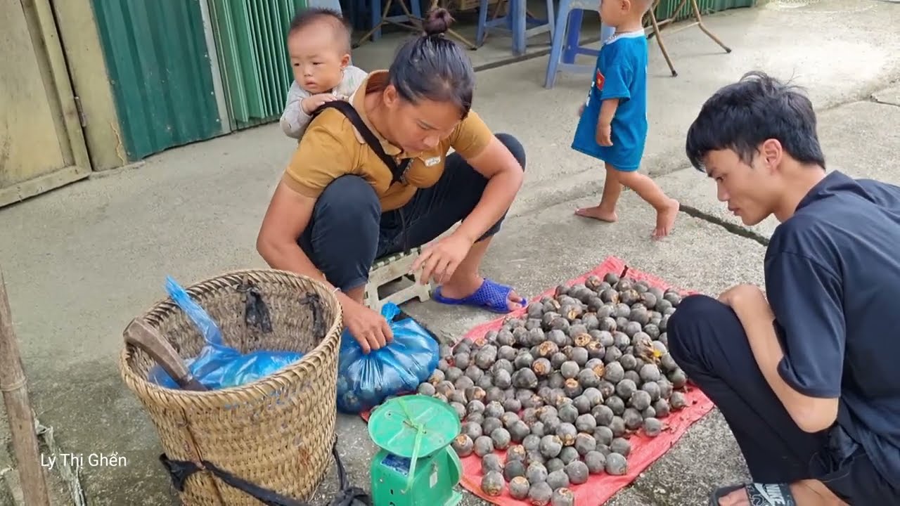 Harvesting natural fruits to sell - weeding around the house - taking care of the baby