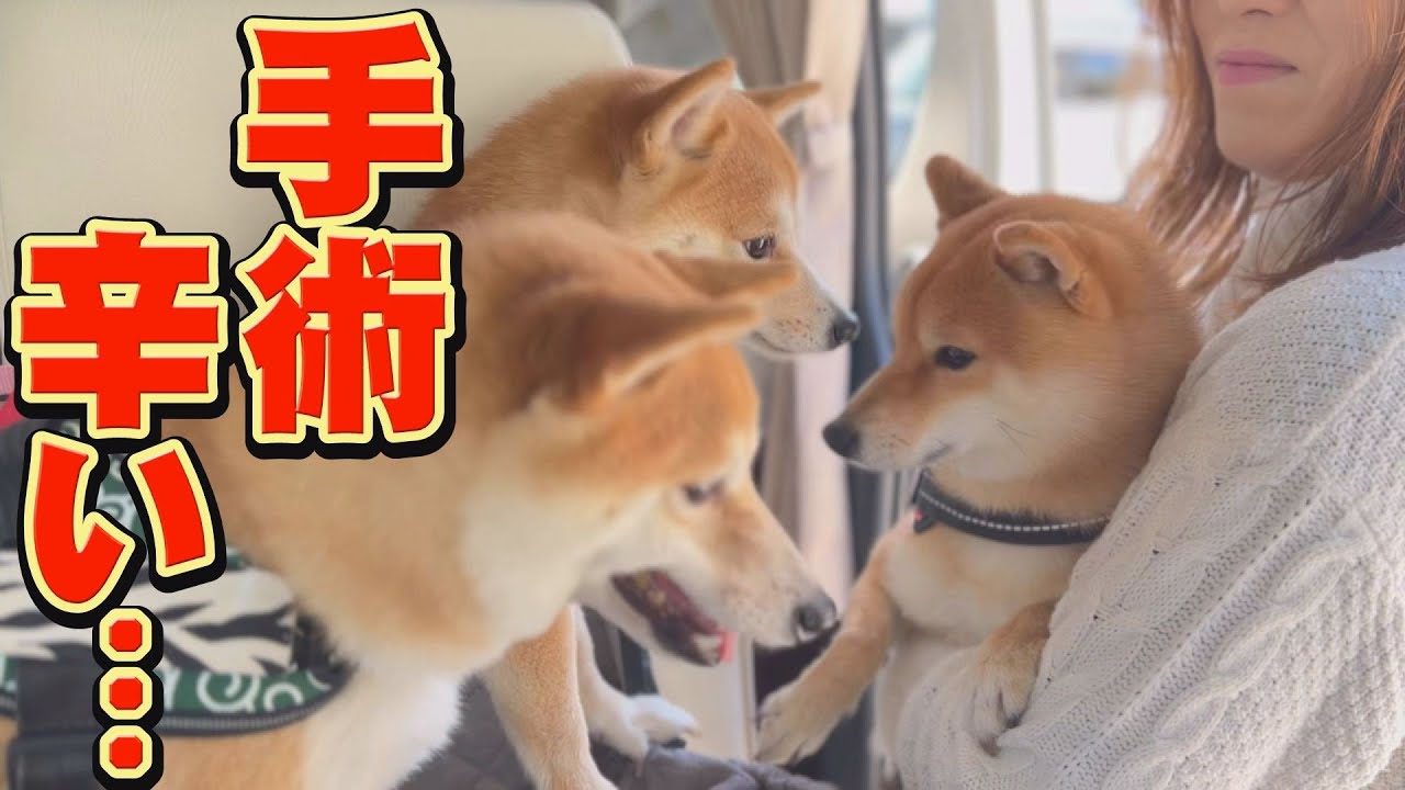 家族としばしのお別れ・・・神様！！お願い！！