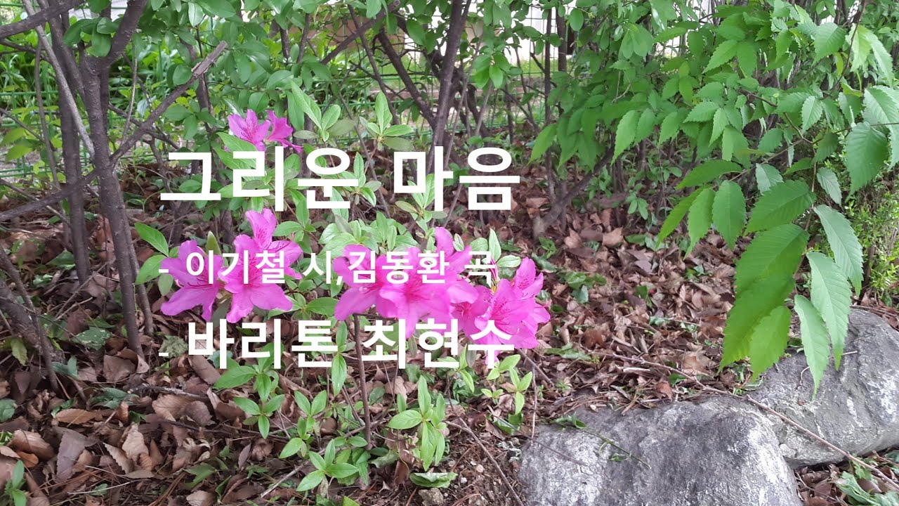 그리운 마음 - 최현수 바리톤 (김동환 곡/이기철 시)  [김동환가곡선집]  #소천