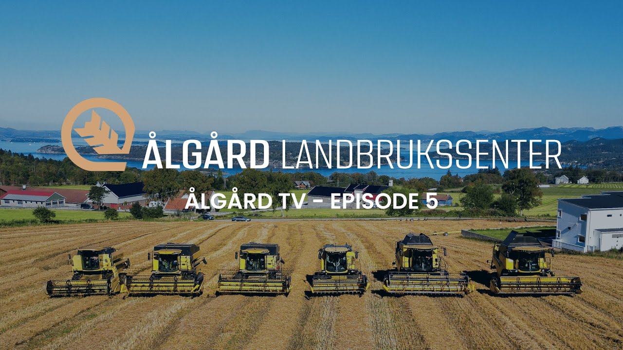 Ålgård TV - Episode 5 | Trøsjar spesial | New Holland CH 7.70 | Baastrup