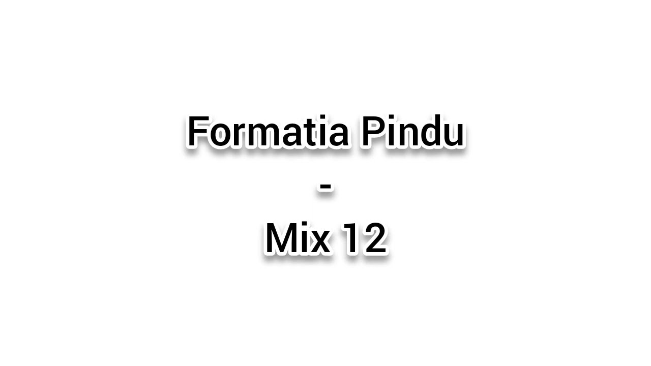 Formatia Pindu-Mix 12