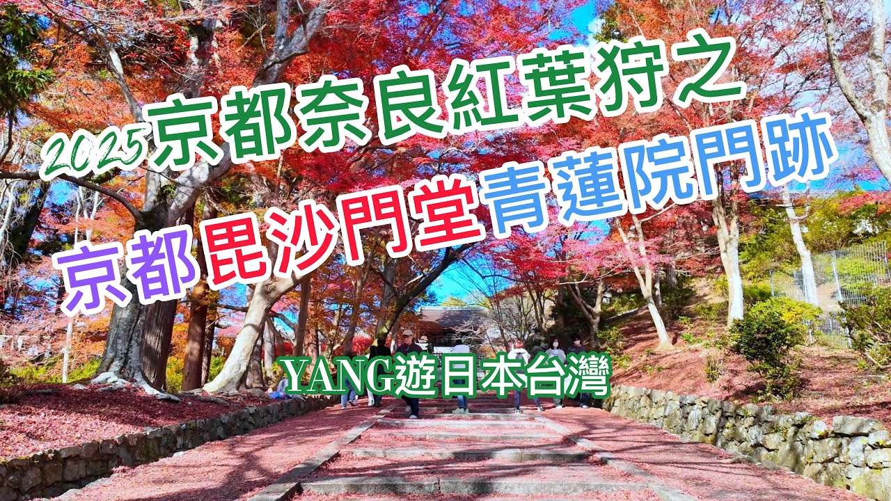 2025京都奈良紅葉狩之京都毘沙門堂青蓮院門跡