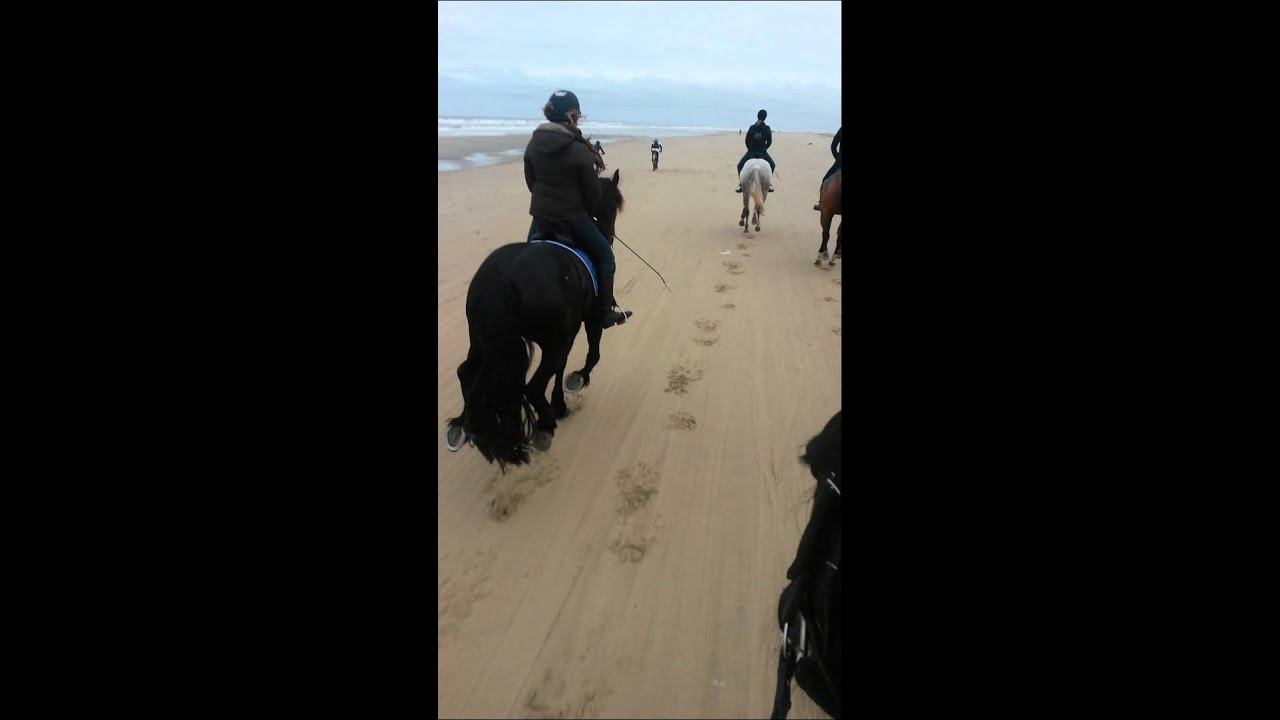 Strandrit