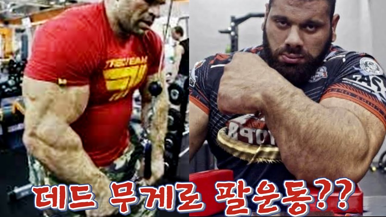 이거 하면 세계 팔씨름 1위 가능?