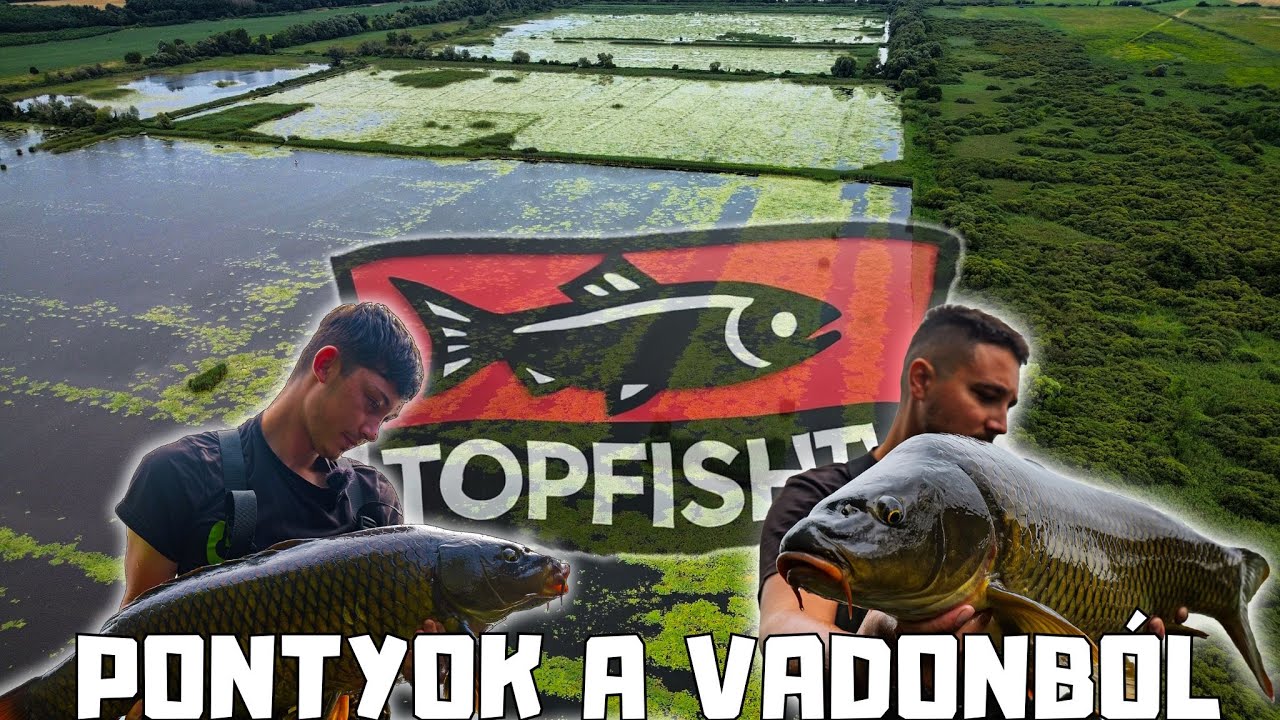 Vad pontyok a töklevelesből!