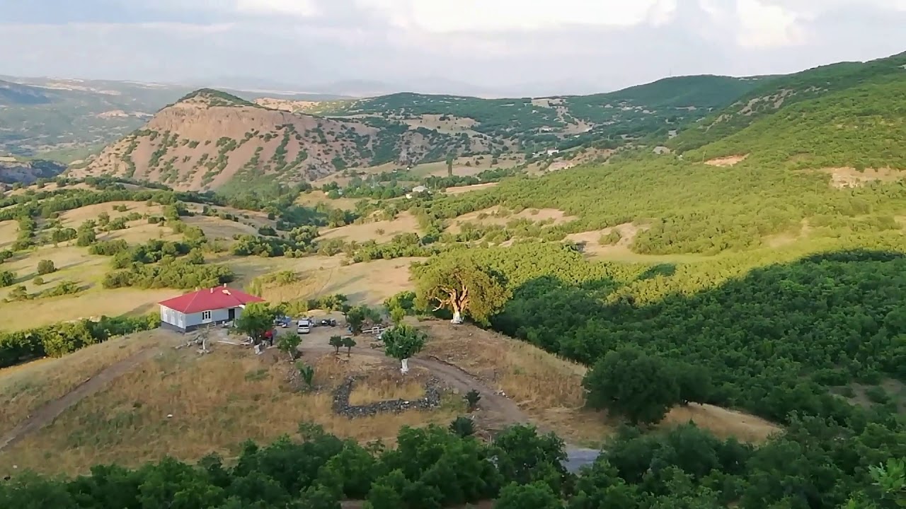 Sezgin Coşkun-Wale Şal❤️