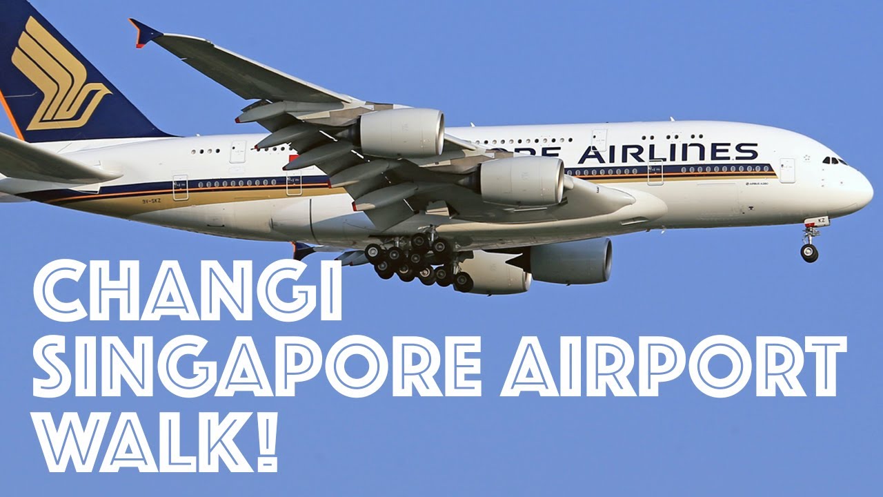 4K Changi Airport in Singapore! ONE HOUR ASMR WALKING TOUR! The Best Airport In The Entire World!
