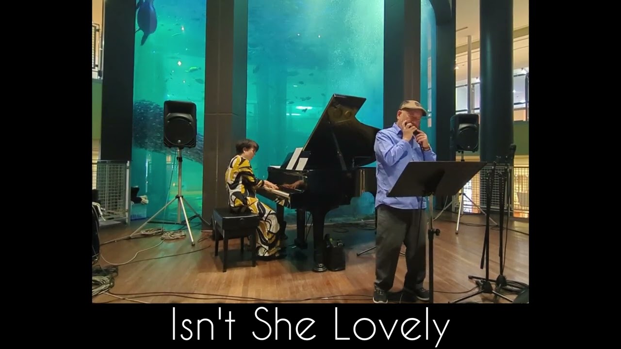 LIVE【Isn't She Lovely】〜BAYSIDE VALENTINE CONCERT】2026.2.14-ベイサイドプレイス博多〜（Piano・Yoko Komori）