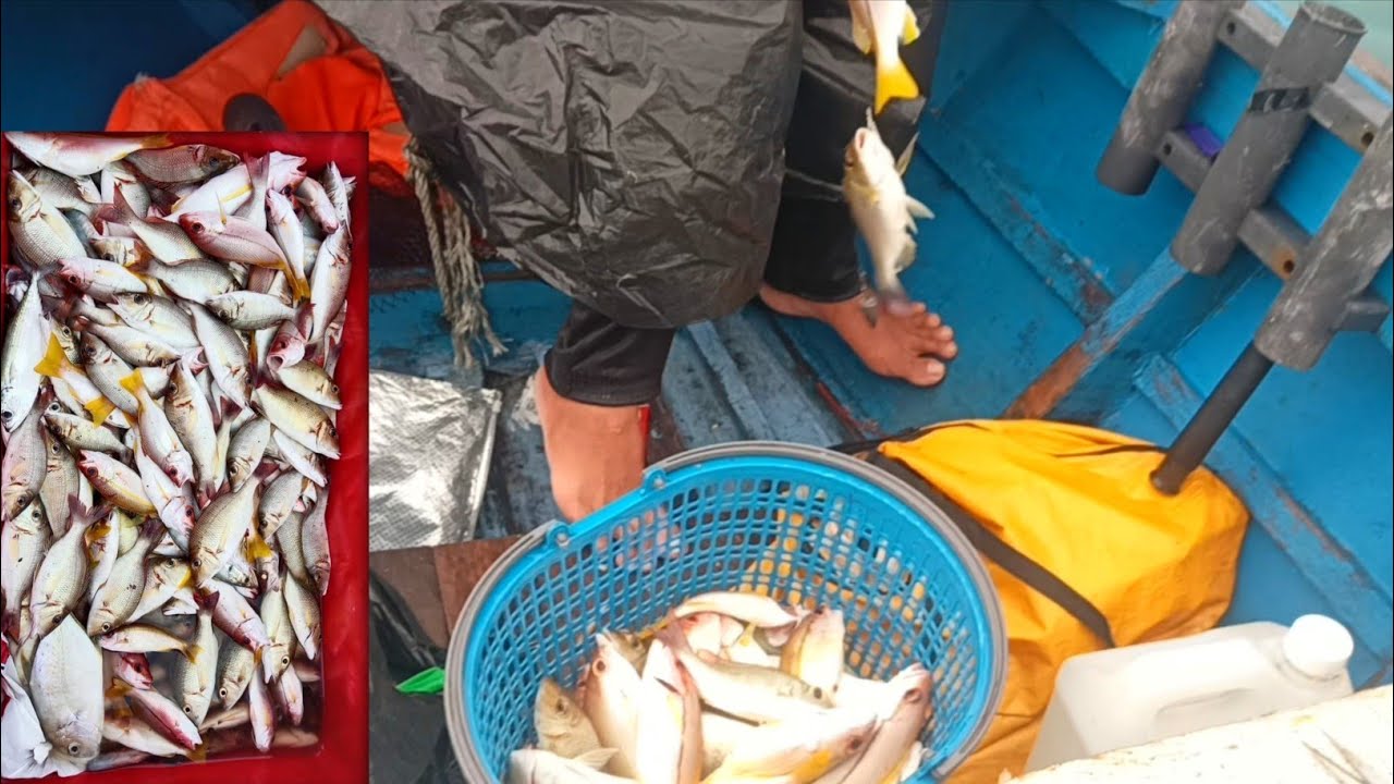 Trip mandi hujan strike tidak berhenti | spot mantap!!