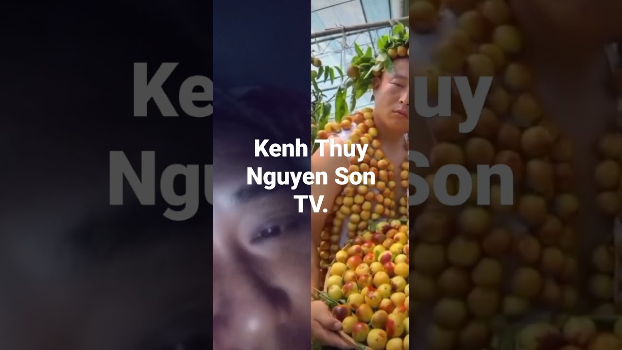 Chia sẻ một cảnh hai hước Chủ vườn nhỏ coi hết lip này nha.Kenh Thủy Nguyên Son TV.