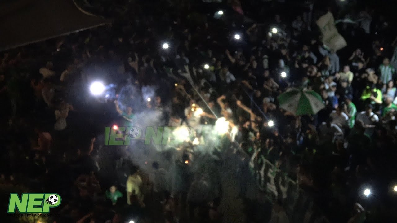 El banderazo verdolaga en la previa de La libertadores...-