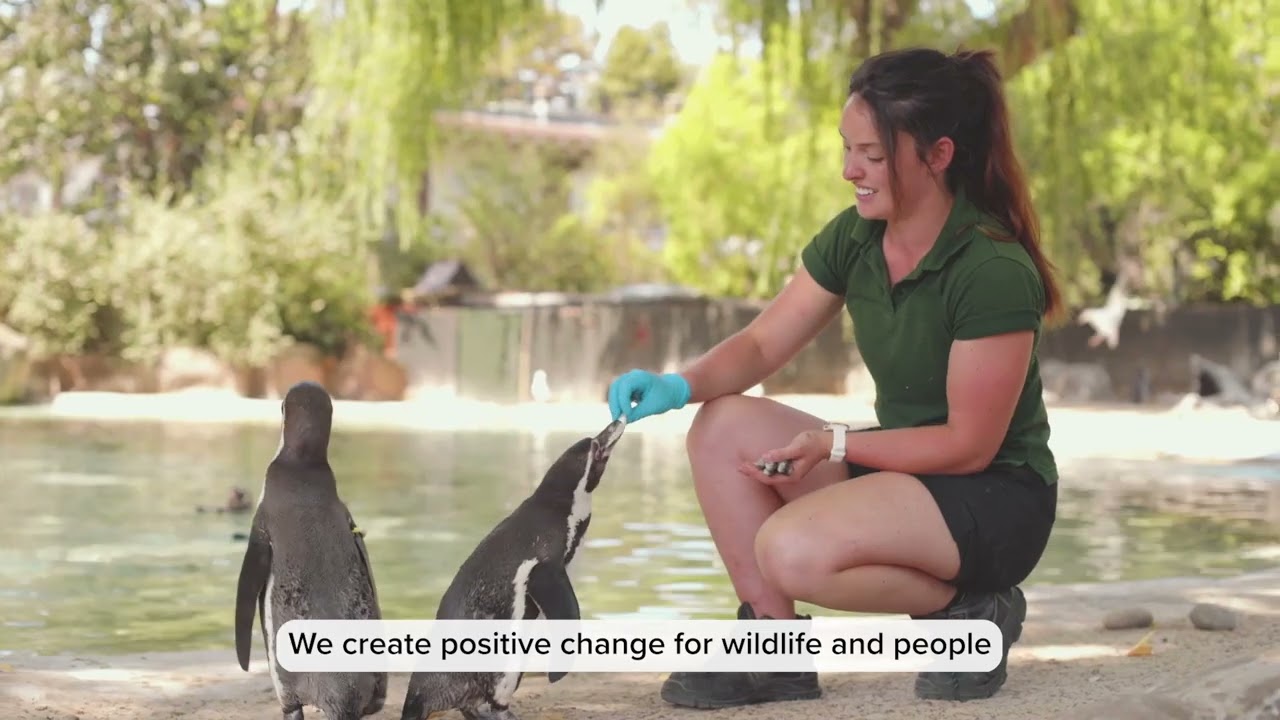 We’re ZSL, a science-driven conservation charity