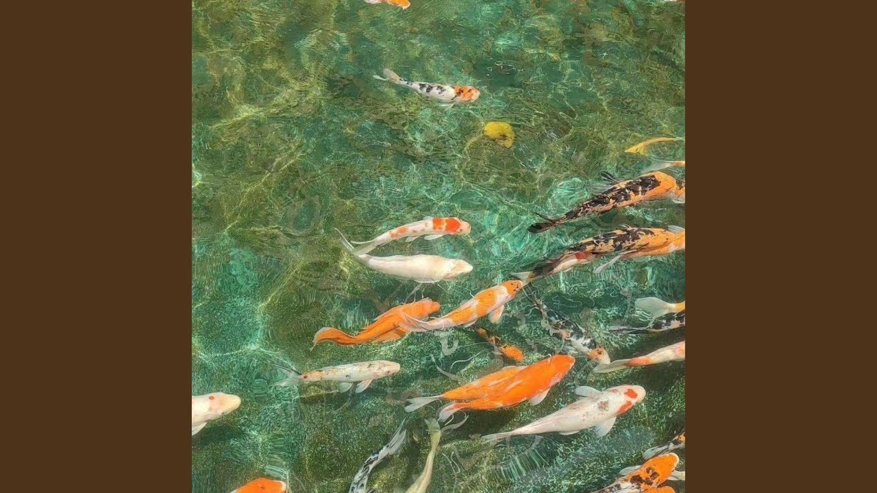 泪目