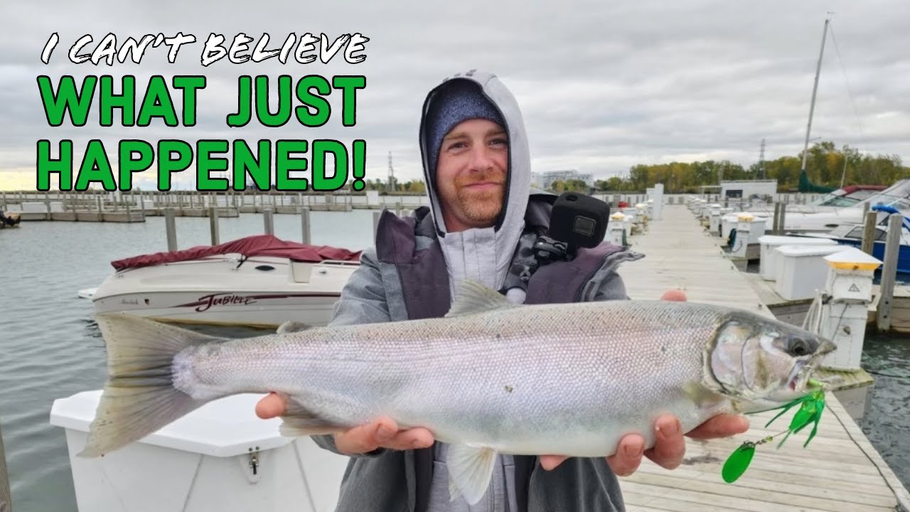 What Colors to Use to Catch the Most Fall Coho SALMON!