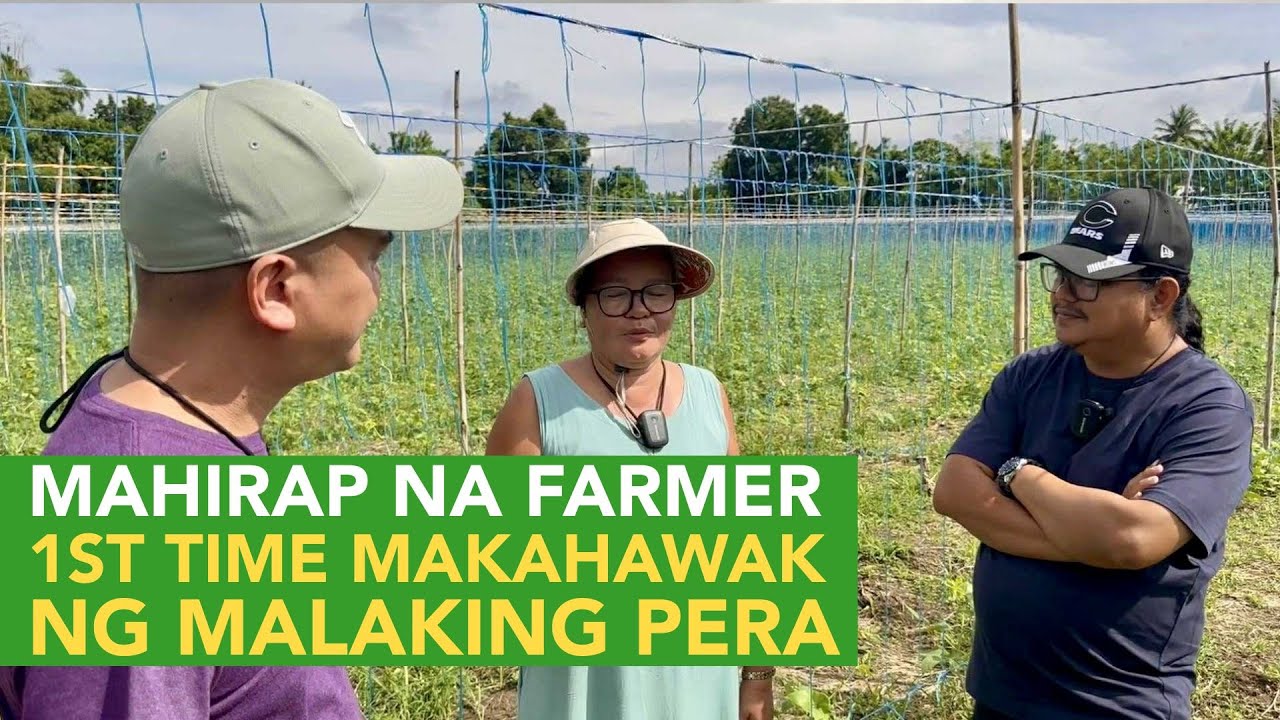 Hindi Makapaniwala! Mahirap na Farmer 1st Time Makahawak ng Malaking Pera Dahil  sa Pagtatanim