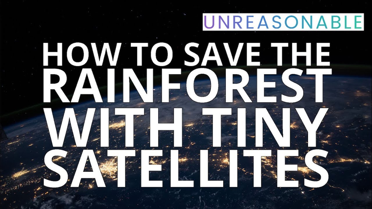 Saving the Rainforest with Microsatellites | Yuya Nakamura