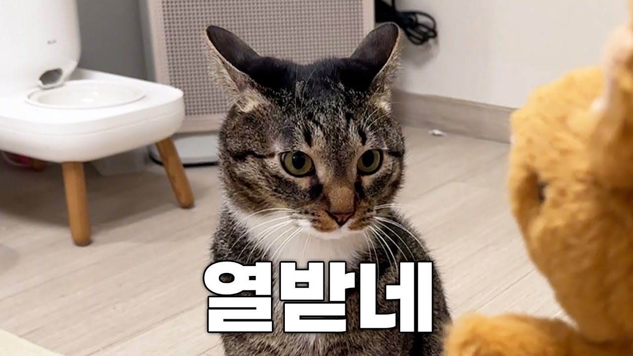끝나지 않은 중성화의 복수...
