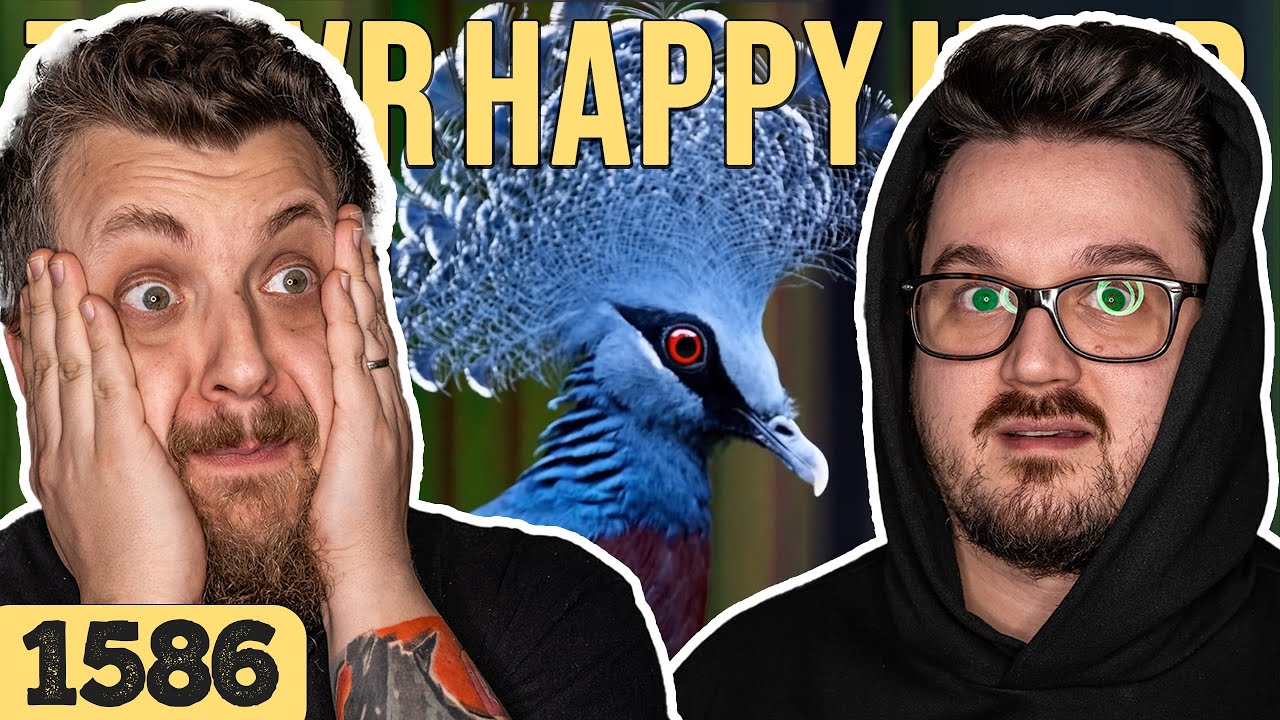 Taplóság megkérdezni | TheVR Happy Hour #1586 - 02.16.