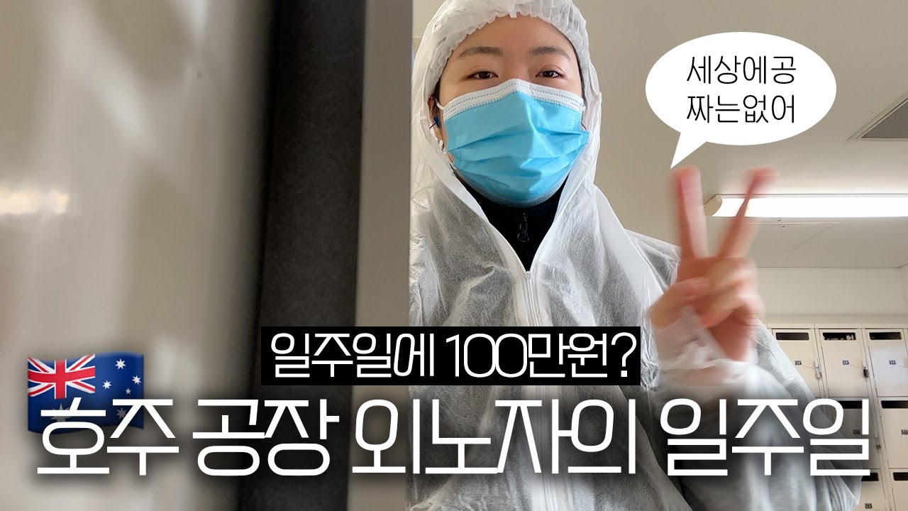 [🇦🇺호주워홀] 공장 외노자 일주일 챌린지 / 바이아다에서 세컨따기 / 워홀 일상