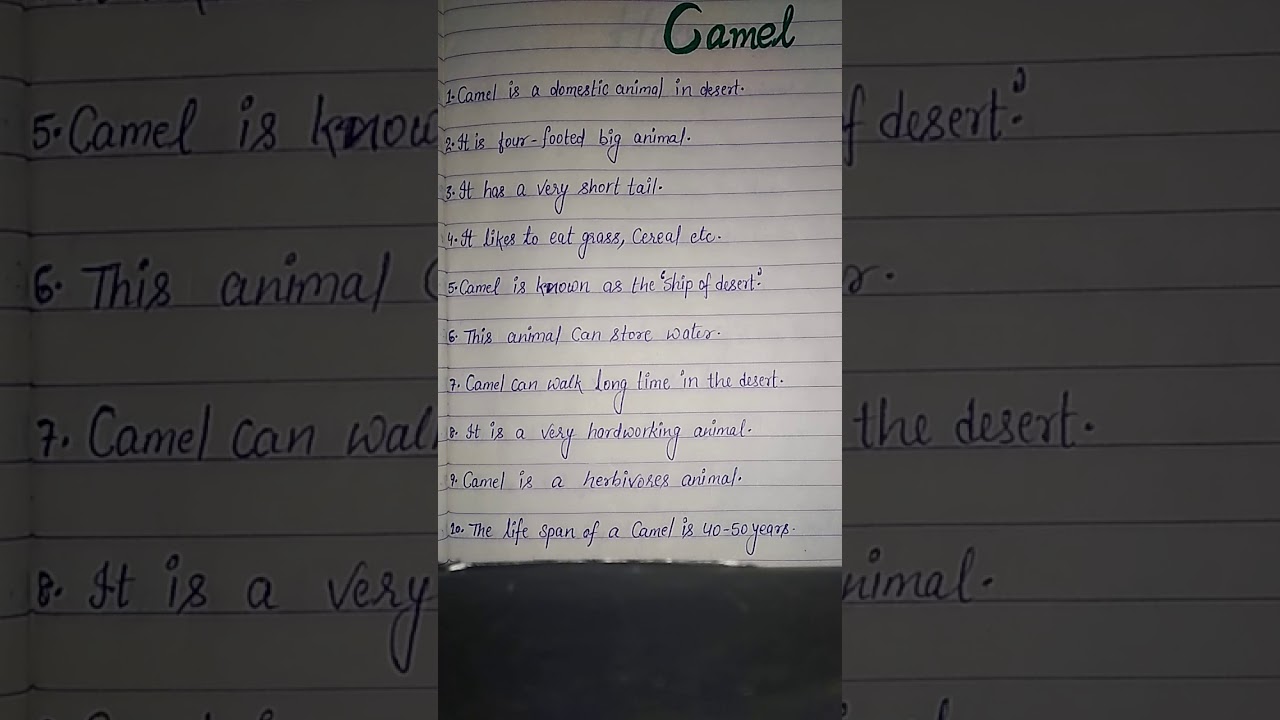Essay on camel