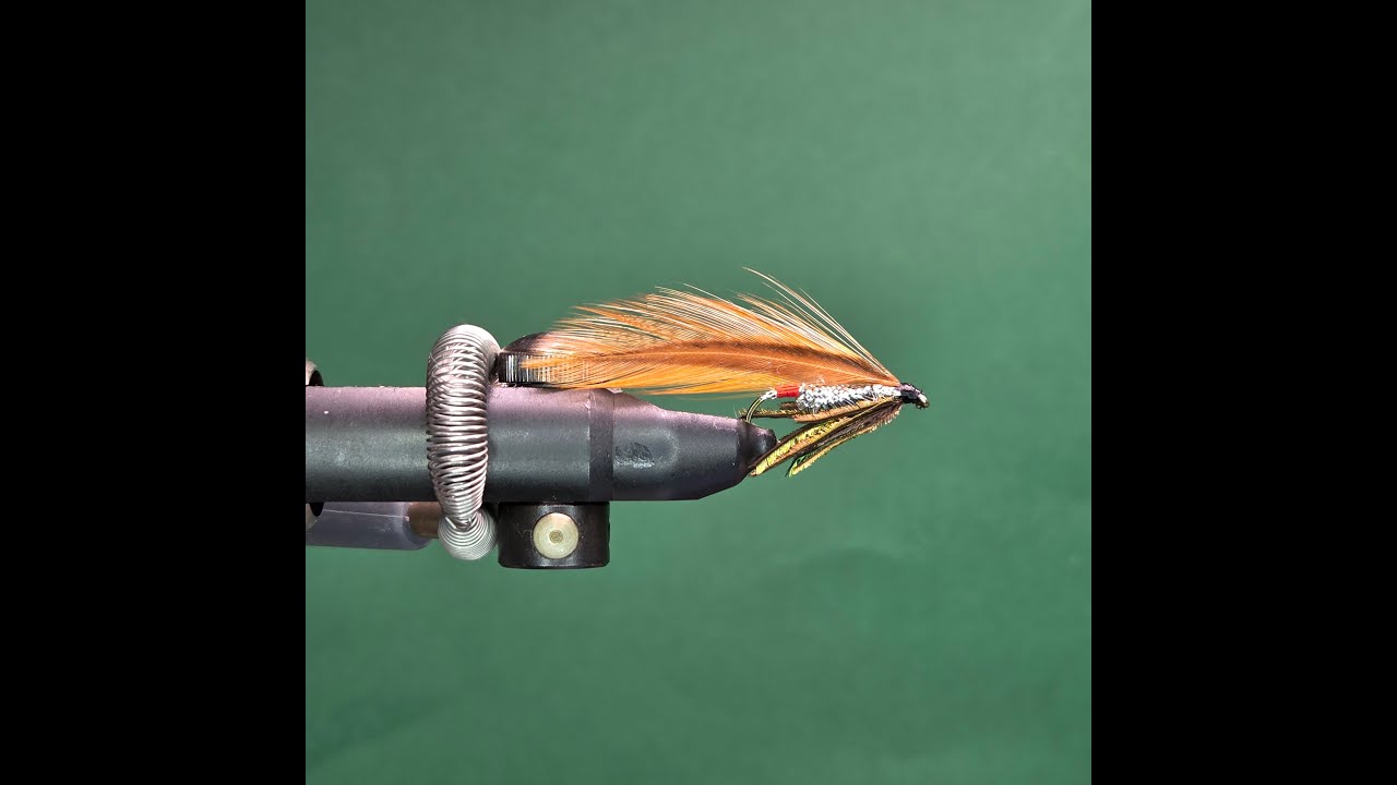 Silver Darter - One Fly A Day