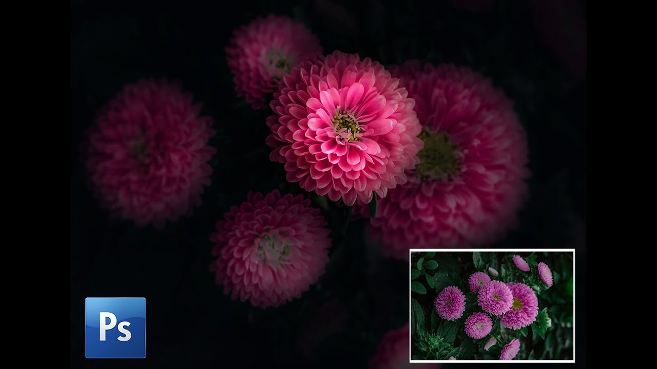 How to edit dark fine art flower photography in Photoshop
