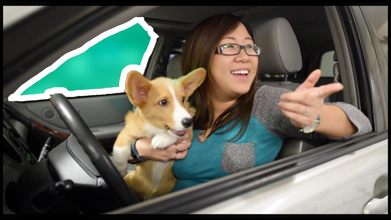 10 Types of People At A Drive Thru