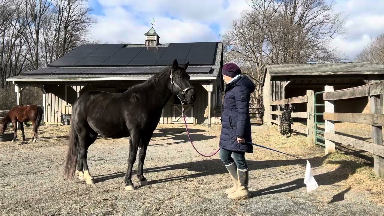 Week 1 - Focus & Bend with Juno
