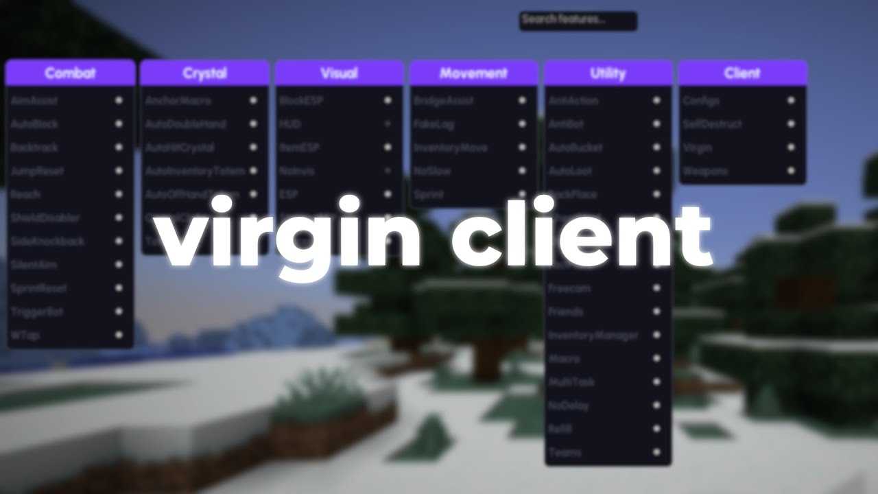 Virgin Client - Minecraft 1.21.1 ghost client UNDETECTABLE
