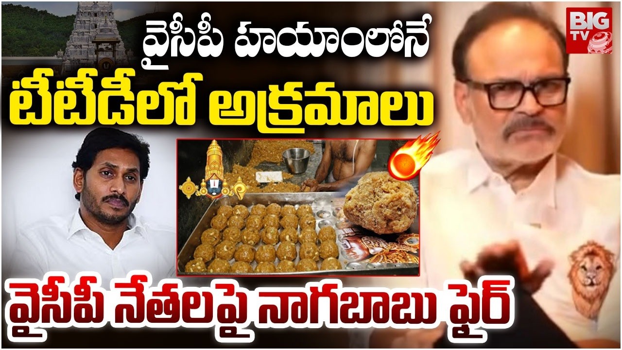 వైసీపీ హయాంలోనే  టీటీడీ లో అక్రమాలు | MLC Nagababu Fires on YCP Leades | TTD Laddu Issue | BIGTV