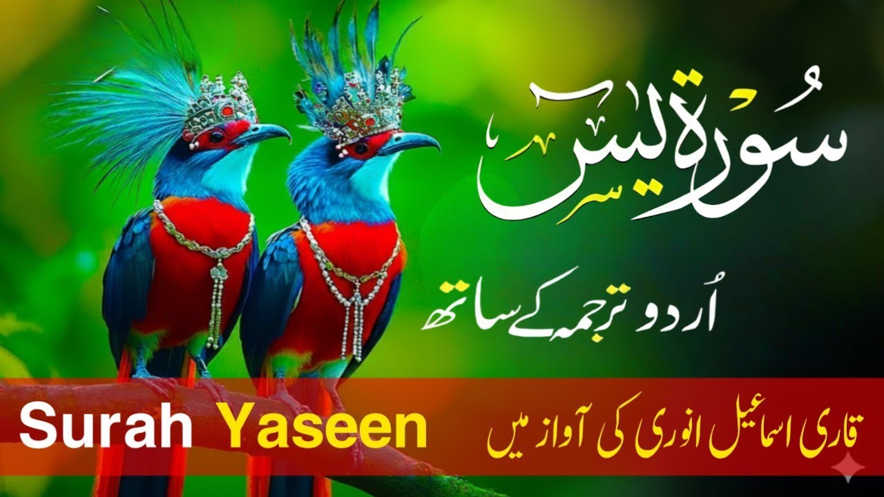 Surah Yaseen With Urdu Translation By Qari Shaikh Ismail Annori I Urdu And Hindi Tarjuma