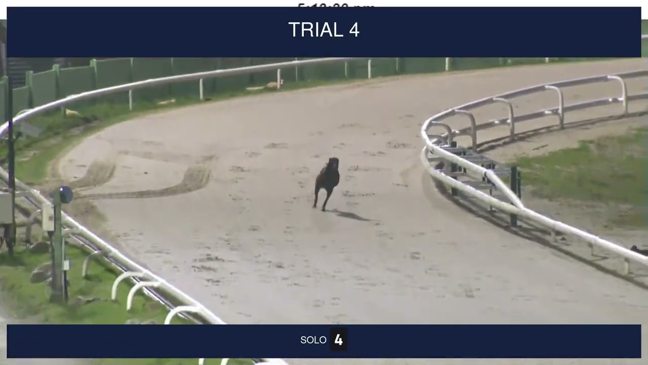 Nottingham Trials on 30th January 2026