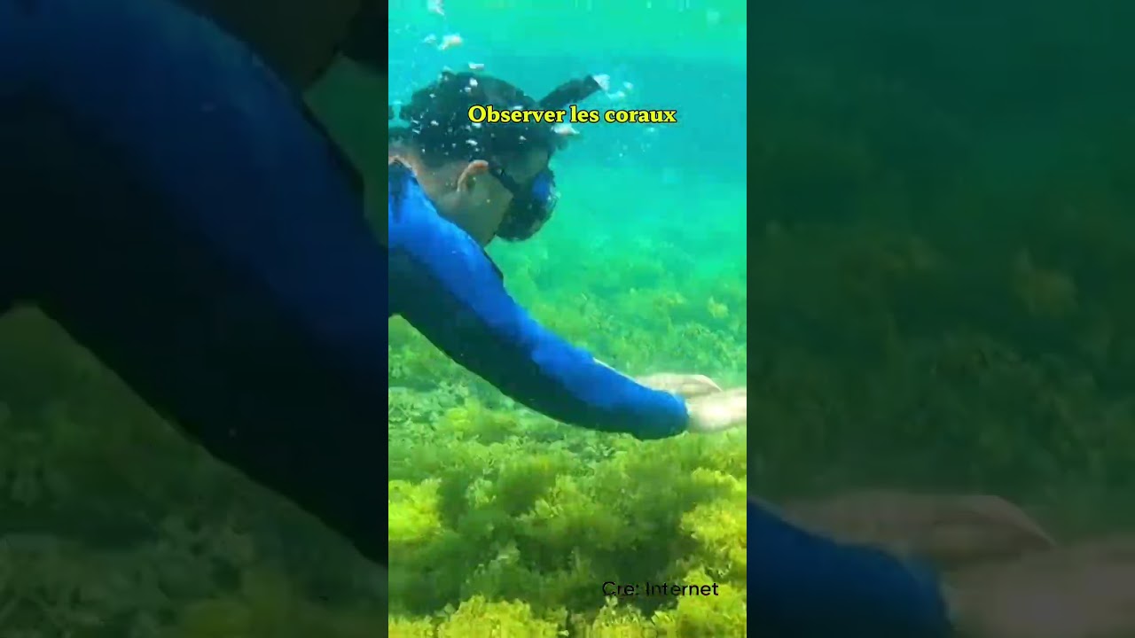 D&eacute;couvrez H&ograve;n Yến &ndash; Admirez la beaut&eacute; &eacute;clatante de l&rsquo;oc&eacute;an bleu