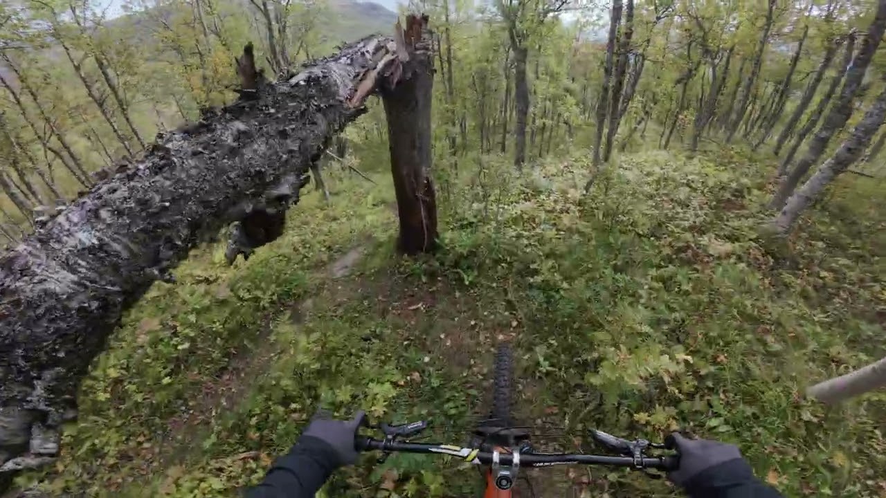 Long descent, no flat sections, no uphills - northern Norway | Trail POV