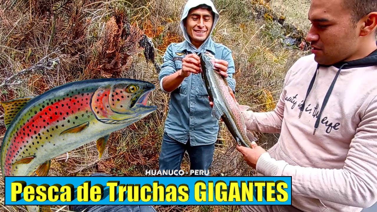 Pesca de Truchas GIGANTES en laguna encantada