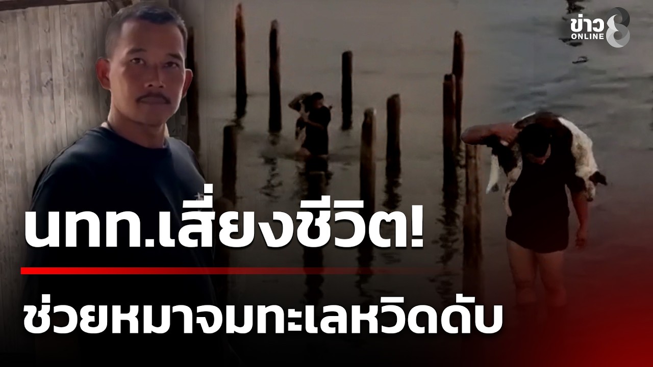 ทุกชีวิตมีค่า! ช่วยหมาจมทะเล สำลักน้ำหวิดดับ | 15 ก.พ. 69 | คุยข่าวเช้าช่อง8