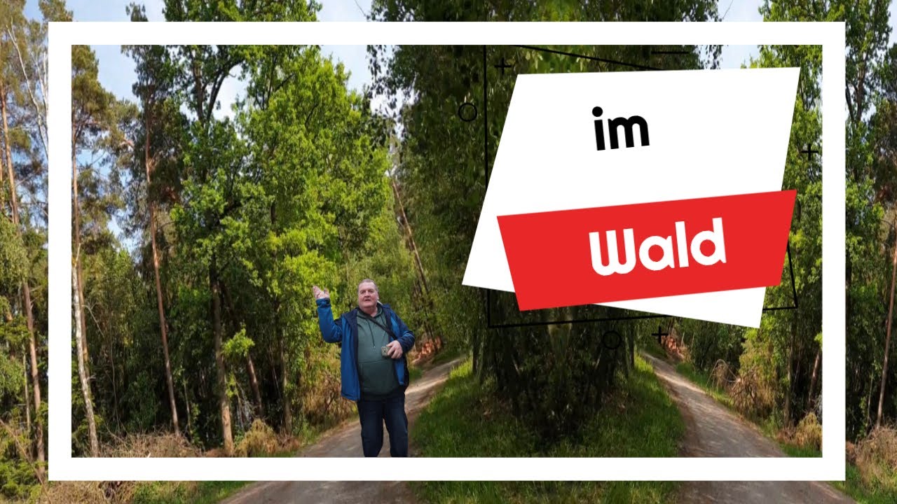 #Egglham  | im Wald | JK ECK